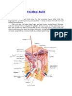Fisiologi Kulit