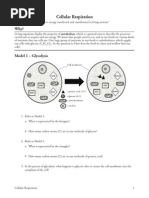 Pogil Cellular Respiration-S