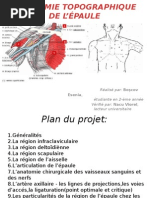 Anatomie et Fonction de la 1ère Commissure | PDF | Main | Appareil ...