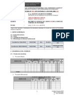 Modelo de Informe de GG Pucusana