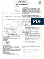 Histología: Generalidades de Tubo Digestivo