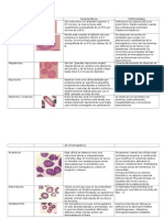 Eritrocitos Anormales