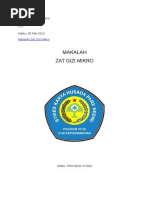 Download Makalah Zat Gizi Mikro di indonesia by Anna Ninos SN256722674 doc pdf