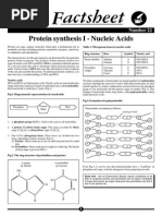 022 - Protein Synthesis I - Nucleic Acids