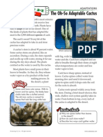 Adaptations5-6 Quick Read Cactus - High