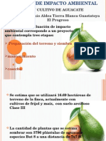 Presentacio EIA Aguacate