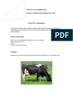 Aktiviti Menggambar PDF