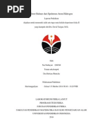 Download Deret Balmer Dari Spektrum Atom Hidrogen by nianurhayati20 SN256761490 doc pdf
