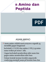 Asam Amino Dan Peptida