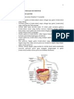 Anatomi Gaster Dan Duodenum