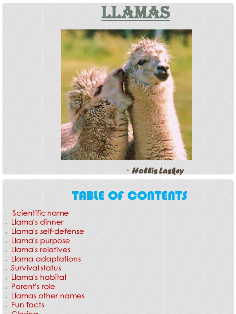 Llamas | PDF
