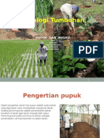 Pupuk Dan Irigasi Terhadap Tanaman