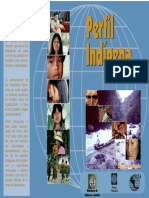 Perfil Del Pueblo Indigena