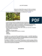criptogamas.pdf