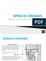 Desarrollo Activity S2 - Speech Organs