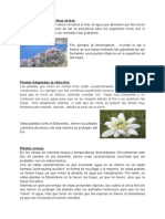 Tipos de Plantas