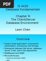 IS 4420 Database Fundamentals The Client/Server Database Environment Leon Chen