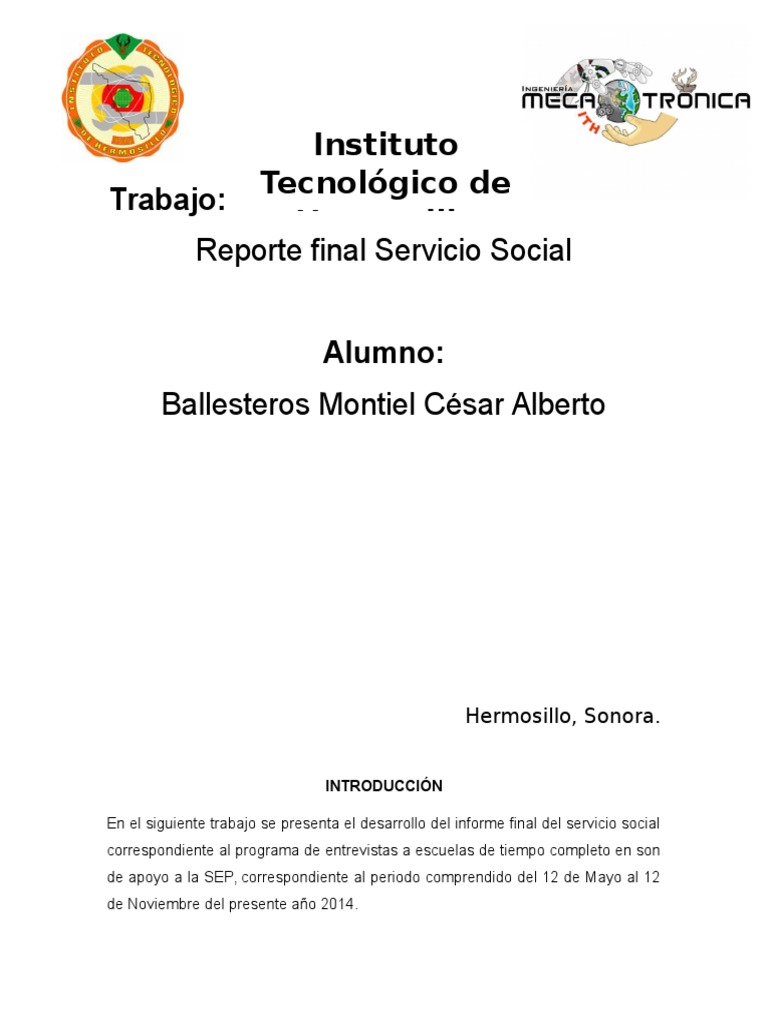 Reporte Final Servicio Social | PDF | Trabajo Social | Sociedad