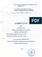 Curriculum Tehnic Comert Clasa 10