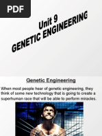 Unit 9 Genetic Engineering Powerpoint