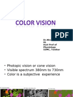 Physiology Color Vision