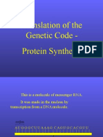 Translation of the Genetic Code into Proteins