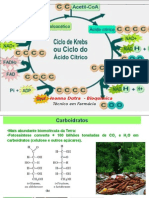 Aula Ciclo de Krebs Ou Ciclo Do Ácido Cítrico