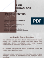 Traballho Sobre Picadas de Animais Peconhentos