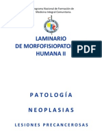 Laminario MFPH II