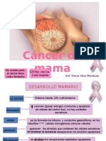 Cancer de Mama 2012