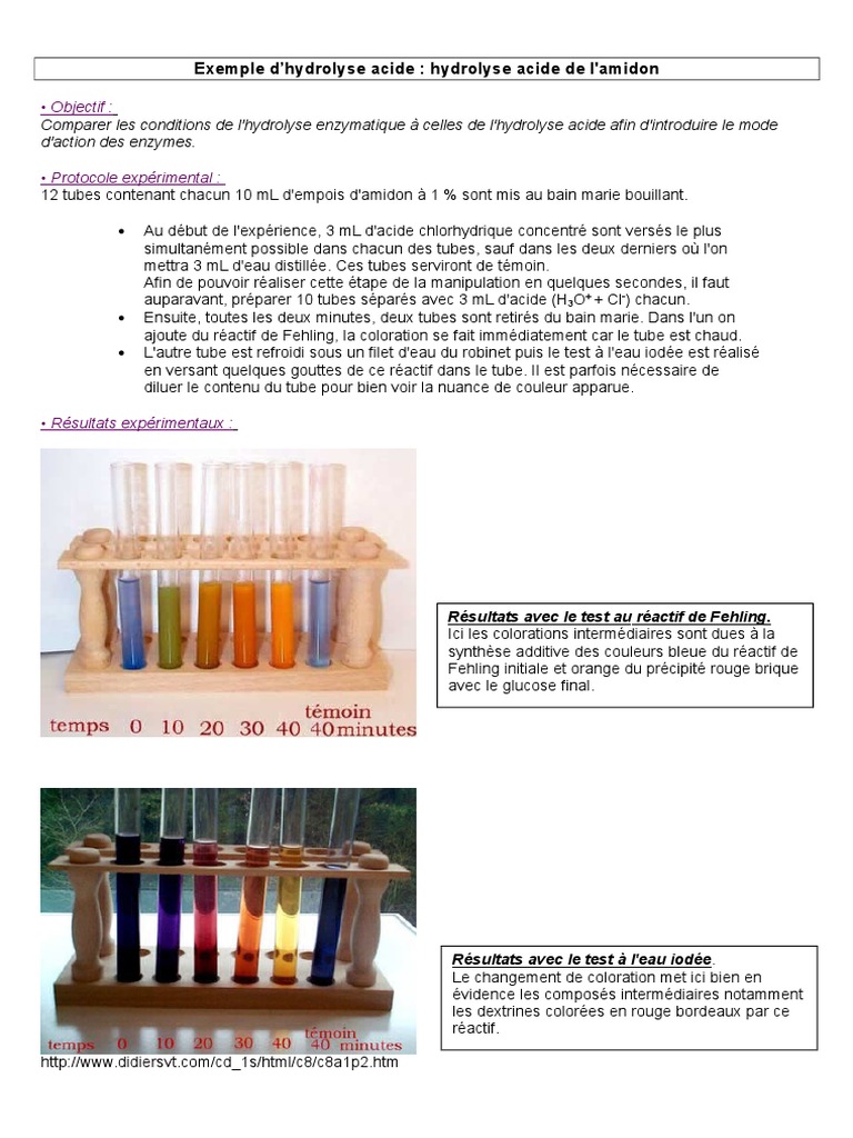 Tp Digestion De L amidon Par L amylase Correction Hydrolyses de L Amidon | PDF | Amidon | Acide