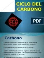 Ciclo Del Carbono