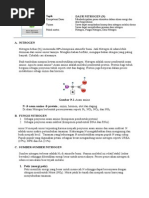 Download daur Nitrogen N by Ingratsusi Marviani SN256852528 doc pdf