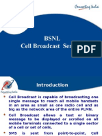 Cell Broadcast Services