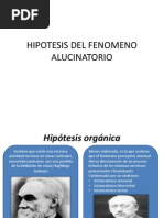 Hipotesis Del Fenomeno Alucinatorio