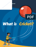 What Is Cricket