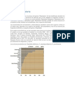 Paludismo O Malaria