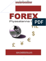 Forex Pi̇yasalarina Giris