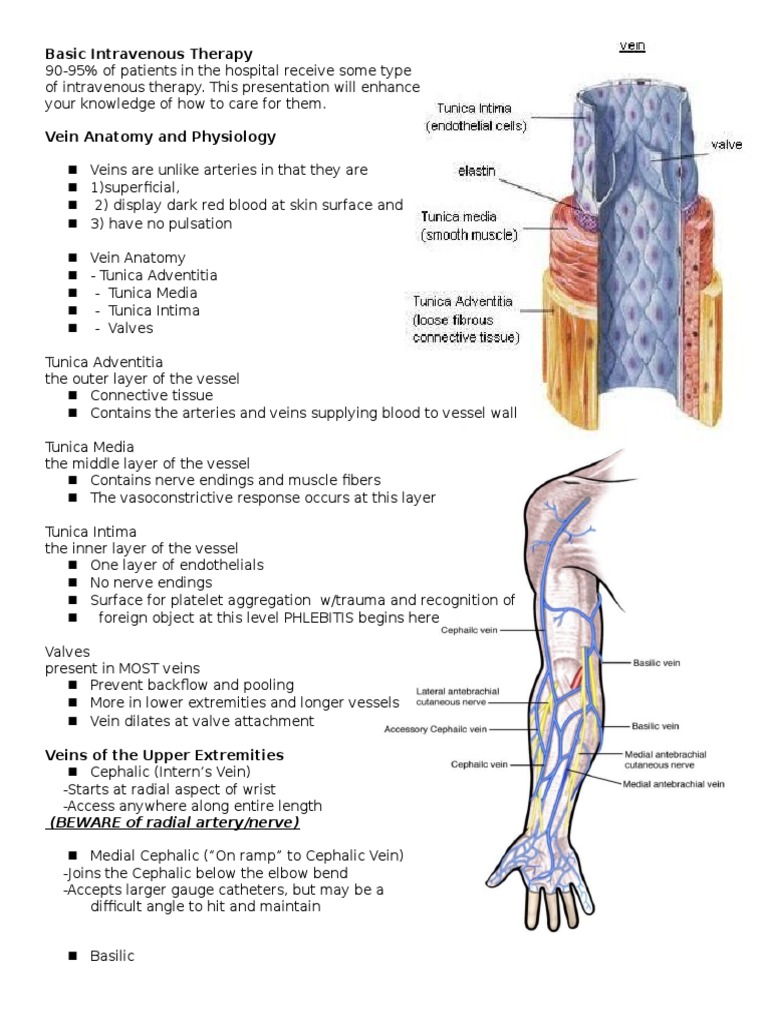 Basic Intravenous Therapy | PDF | Intravenous Therapy | Vein