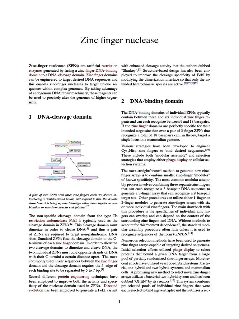 Zinc Finger Nuclease PDF Molecular Biology Biology