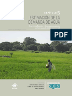 Estim Deman Agua ENA 2010 PDF