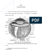 Tinjauan Pustaka Hifema