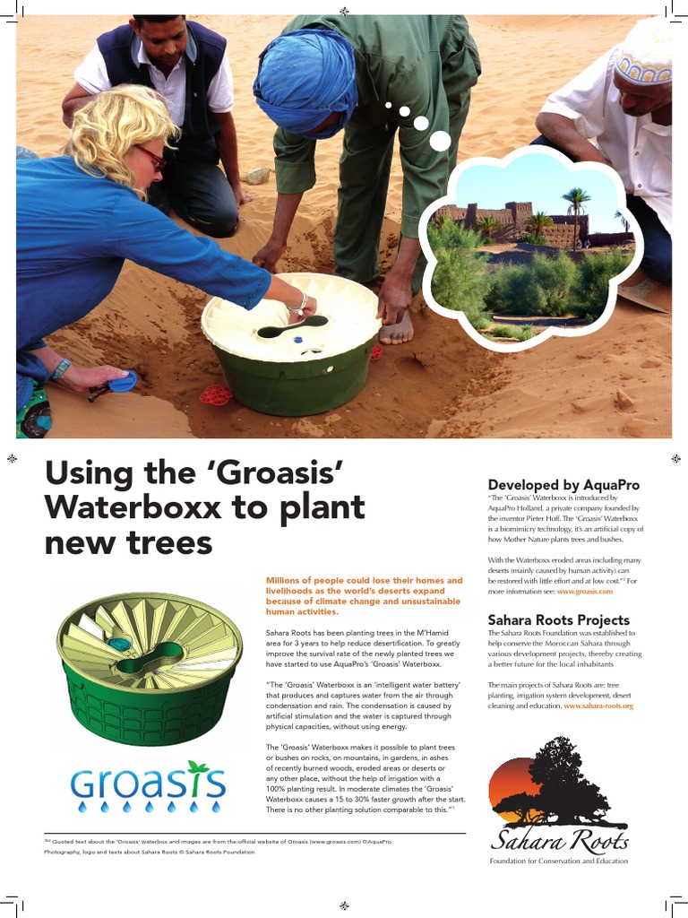 Tree Planting with Groasis in Sahara | PDF