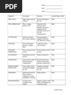 Printables Cell Organelles Worksheet cell organelles worksheet