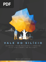 Vale Do Silicio - Reinaldo Normand