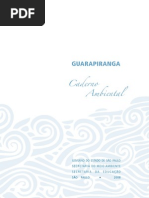 EA.Guarapiranga.pdf
