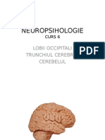 NEUROPSIHOLOGIE 
