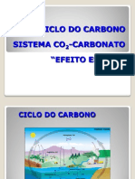 Aula+3+Ciclo+Carbono