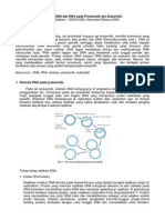 Sintesis DNA Pada Prokariotik1