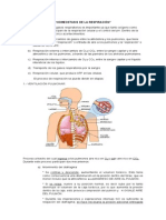 Mecanismo Homeostático de La Respiración